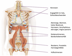 Anatomie des Körpers psychosomatische Beschwerde